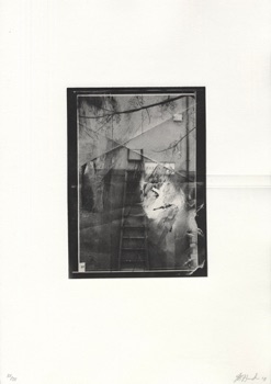Jo Hounsome
'Untitled'
Etching
445mm x 315mm Jo Hounsome
'Untitled'
Etching
445mm x 315mm